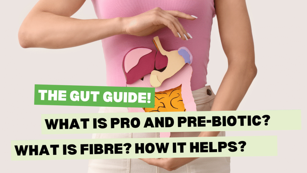 The Gut Guide: The digestive system part B 